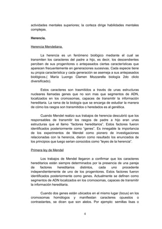 actividades mentales superiores; la corteza dirige habilidades mentales
complejas.

Herencia.

Herencia Mendeliana.

       La herencia es un fenómeno biológico mediante el cual se
transmiten los caracteres del padre a hijo, es decir, los descendientes
perciben de sus progenitores o antepasados ciertas características que
aparecen frecuentemente en generaciones sucesivas. Cada especie tiene
su propia característica y cada generación se asemeja a sus antepasados
biológicos.( María Luongo Clamen Mozzarella biología 2do cliclo
diversificado).

       Estos caracteres son trasmitidos a través de unas estructuras
nucleares llamadas genes que no son mas que segmentos de ADN,
localizados en los cromosomas, capaces de transmitir la información
hereditaria. La rama de la biología que se encarga de estudiar la manera
de cómo los rasgos son transmitidos o heredados es al genética.

        Cuando Mendel realizo sus trabajos de herencia descubrió que los
responsables de transmitir los rasgos de padre a hijo eran unas
estructuras que el llamo “factores hereditarios”. Estos factores fueron
identificados posteriormente como “genes”. Es innegable la importancia
de los experimentos de Mendel como pionero de investigaciones
relacionadas con la herencia, dieron como resultado los enunciados de
los principios que luego serian conocidos como “leyes de la herencia”.

Primera ley de Mendel

        Los trabajos de Mendel llegaron a confirmar que los caracteres
hereditarios están siempre determinados por la presencia de una pareja
de      factores   hereditarios  distintos, cada    uno     procedente
independientemente de uno de los progenitores. Estos factores fueron
identificados posteriormente como genes. Actualmente se definen como
segmentos de ADN localizados en los cromosomas, capaces de transmitir
la información hereditaria.

      Cuando dos genes están ubicados en el mismo lugar (locus) en los
cromosomas homólogos y manifiestan caracteres opuestos o
contrastantes, se dicen que son alelos. Por ejemplo: semillas lisas o


                                   4
 