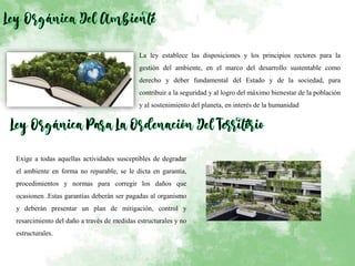 La ley establece las disposiciones y los principios rectores para la
gestión del ambiente, en el marco del desarrollo sustentable como
derecho y deber fundamental del Estado y de la sociedad, para
contribuir a la seguridad y al logro del máximo bienestar de la población
y al sostenimiento del planeta, en interés de la humanidad
Exige a todas aquellas actividades susceptibles de degradar
el ambiente en forma no reparable, se le dicta en garantía,
procedimientos y normas para corregir los daños que
ocasionen .Estas garantías deberán ser pagadas al organismo
y deberán presentar un plan de mitigación, control y
resarcimiento del daño a través de medidas estructurales y no
estructurales.
 