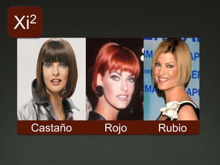 Castaño Rojo Rubio
Xi2
 