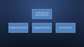Variables y factores exposición LNH