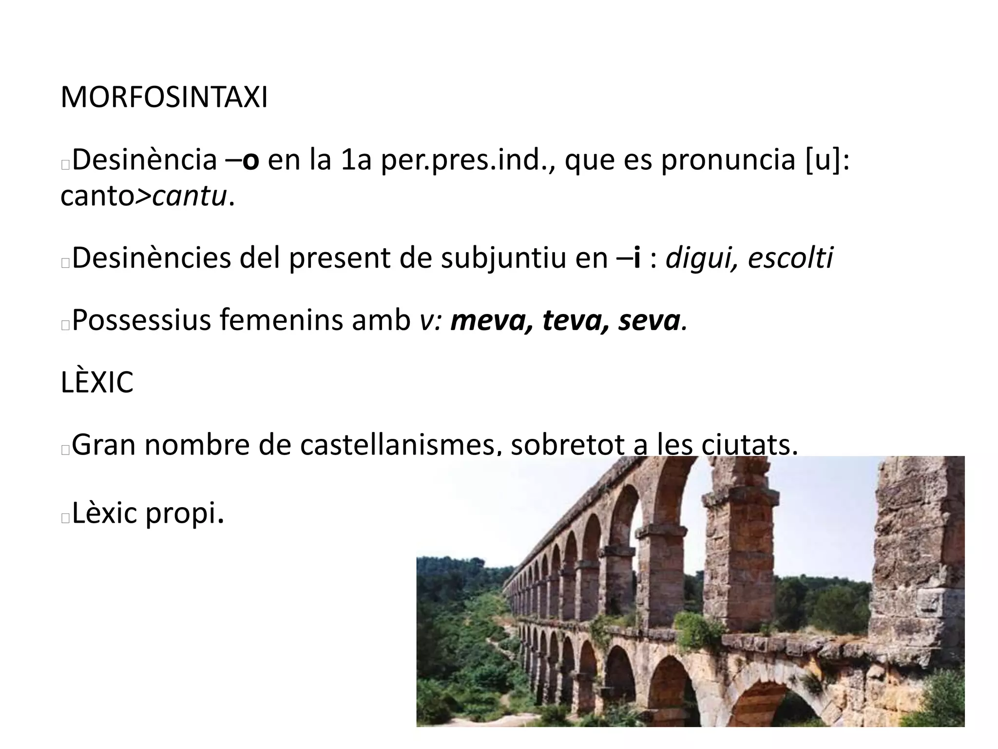 MORFOSINTAXI
Desinència –o en la 1a per.pres.ind., que es pronuncia [u]:
canto>cantu.
Desinències del present de subjuntiu en –i : digui, escolti
Possessius femenins amb v: meva, teva, seva.
LÈXIC
Gran nombre de castellanismes, sobretot a les ciutats.
Lèxic propi.
 