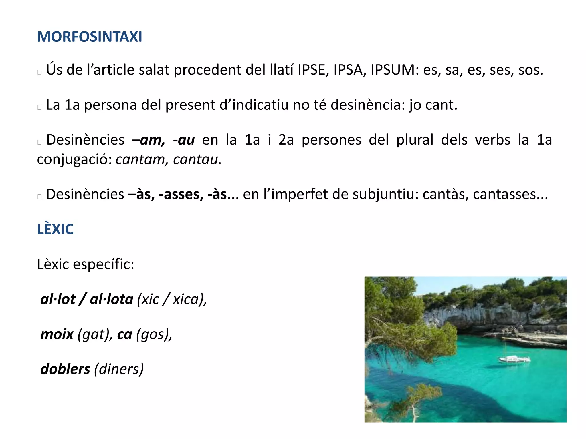 MORFOSINTAXI
 Ús de l’article salat procedent del llatí IPSE, IPSA, IPSUM: es, sa, es, ses, sos.
 La 1a persona del present d’indicatiu no té desinència: jo cant.
 Desinències –am, -au en la 1a i 2a persones del plural dels verbs la 1a
conjugació: cantam, cantau.
 Desinències –às, -asses, -às... en l’imperfet de subjuntiu: cantàs, cantasses...
LÈXIC
Lèxic específic:
al·lot / al·lota (xic / xica),
moix (gat), ca (gos),
doblers (diners)
 