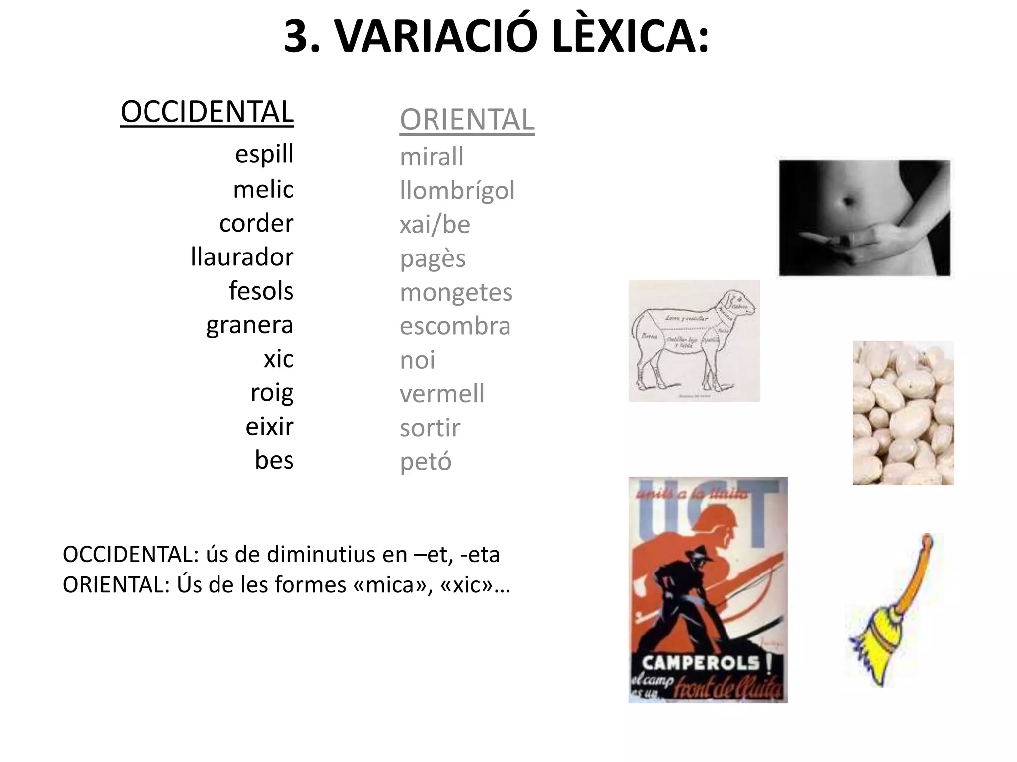 3. VARIACIÓ LÈXICA:
OCCIDENTAL
espill
melic
corder
llaurador
fesols
granera
xic
roig
eixir
bes
ORIENTAL
mirall
llombrígol
xai/be
pagès
mongetes
escombra
noi
vermell
sortir
petó
OCCIDENTAL: ús de diminutius en –et, -eta
ORIENTAL: Ús de les formes «mica», «xic»…
 