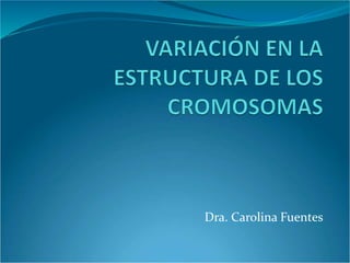 Dra. Carolina Fuentes
 