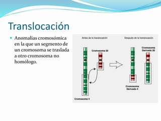 Variación cromosómica
