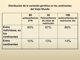 Distribución de la variación genética en los continentes
del Viejo Mundo
60
polimorfismos
STR
30
Polimorfismos
de sitios de
restricción
100
polimorfismos de
restricción Alu
Entre
individuos, en
los
continentes
90% 87% 86%
Entre
continentes
10% 13% 14%
 