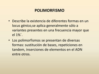 POLIMORFISMO
• Describe la existencia de diferentes formas en un
locus génico,se aplica generalmente sólo a
variantes presentes en una frecuencia mayor que
el 1%´.
• Los polimorfismos se presentan de diversas
formas: sustitución de bases, repeticiones en
tandem, inserciones de elementos en el ADN
entre otros.
 