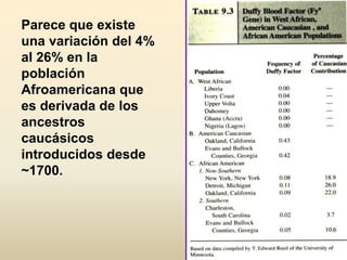Parece que existe
una variación del 4%
al 26% en la
población
Afroamericana que
es derivada de los
ancestros
caucásicos
introducidos desde
~1700.
 