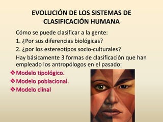 EVOLUCIÓN DE LOS SISTEMAS DE
CLASIFICACIÓN HUMANA
Cómo se puede clasificar a la gente:
1. ¿Por sus diferencias biológicas?
2. ¿por los estereotipos socio-culturales?
Hay básicamente 3 formas de clasificación que han
empleado los antropólogos en el pasado:
Modelo tipológico.
Modelo poblacional.
Modelo clinal
 