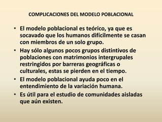 COMPLICACIONES DEL MODELO POBLACIONAL
• El modelo poblacional es teórico, ya que es
socavado que los humanos difícilmente se casan
con miembros de un solo grupo.
• Hay sólo algunos pocos grupos distintivos de
poblaciones con matrimonios intergrupales
restringidos por barreras geográficas o
culturales, estas se pierden en el tiempo.
• El modelo poblacional ayuda poco en el
entendimiento de la variación humana.
• Es útil para el estudio de comunidades aisladas
que aún existen.
 