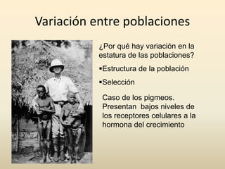 Variación entre poblaciones
¿Por qué hay variación en la
estatura de las poblaciones?
Estructura de la población
Selección
Caso de los pigmeos.
Presentan bajos niveles de
los receptores celulares a la
hormona del crecimiento
 