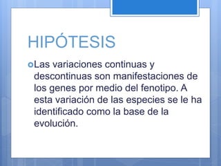 HIPÓTESIS
Las variaciones continuas y
descontinuas son manifestaciones de
los genes por medio del fenotipo. A
esta variación de las especies se le ha
identificado como la base de la
evolución.
 