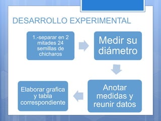 DESARROLLO EXPERIMENTAL
1.-separar en 2
mitades 24
semillas de
chicharos
Medir su
diámetro
Anotar
medidas y
reunir datos
Elaborar grafica
y tabla
correspondiente
 