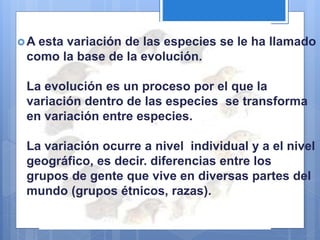 A esta variación de las especies se le ha llamado
como la base de la evolución.
La evolución es un proceso por el que la
variación dentro de las especies se transforma
en variación entre especies.
La variación ocurre a nivel individual y a el nivel
geográfico, es decir. diferencias entre los
grupos de gente que vive en diversas partes del
mundo (grupos étnicos, razas).
 