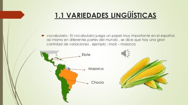 Variaciones linguisticas