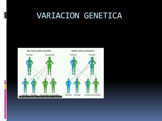 VARIACION GENETICA
 