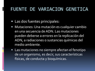 FUENTE DE VARIACION GENETICA
 Las dos fuentes principales:
 Mutaciones: Una mutación es cualquier cambio
en una secuencia de ADN. Las mutaciones
pueden deberse a errores en la replicación del
ADN, a radiaciones o sustancias químicas del
medio ambiente.
 Las mutaciones no siempre afectan el fenotipo
de un organismo, es decir, sus características
físicas, de conducta y bioquímicas.
 