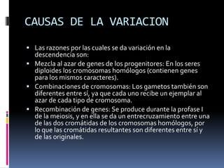 CAUSAS DE LA VARIACION
 Las razones por las cuales se da variación en la
descendencia son:
 Mezcla al azar de genes de los progenitores: En los seres
diploides los cromosomas homólogos (contienen genes
para los mismos caracteres).
 Combinaciones de cromosomas: Los gametos también son
diferentes entre sí, ya que cada uno recibe un ejemplar al
azar de cada tipo de cromosoma.
 Recombinación de genes: Se produce durante la profase I
de la meiosis, y en ella se da un entrecruzamiento entre una
de las dos cromátidas de los cromosomas homólogos, por
lo que las cromátidas resultantes son diferentes entre sí y
de las originales.
 