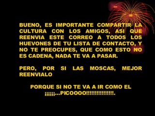 BUENO, ES IMPORTANTE COMPARTIR LA CULTURA CON LOS AMIGOS, ASI QUE REENVIA ESTE CORREO A TODOS LOS HUEVONES DE TU LISTA DE CONTACTO, Y NO TE PREOCUPES, QUE COMO ESTO NO ES CADENA, NADA TE VA A PASAR. PERO, POR SI LAS MOSCAS, MEJOR REENVIALO PORQUE SI NO TE VA A IR COMO EL ¡¡¡¡¡¡...PICOOOO!!!!!!!!!!!!!!!!.   