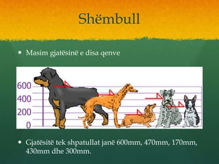 Shëmbull
 Masim gjatësinë e disa qenve
 Gjatësitë tek shpatullat janë 600mm, 470mm, 170mm,
430mm dhe 300mm.
 