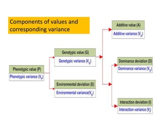 Element Variance Variance and GE Interactions | PPTX