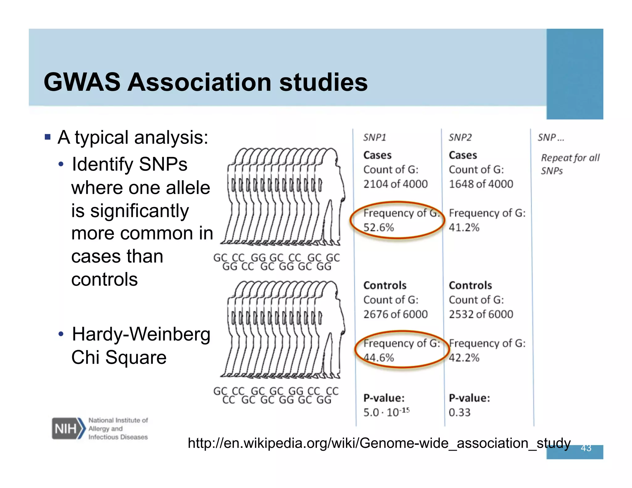 GWAS Association studies
  A typical analysis:
•  Identify SNPs
where one allele
is significantly
more common in
cases than
controls
•  Hardy-Weinberg
Chi Square
http://en.wikipedia.org/wiki/Genome-wide_association_study 43
 