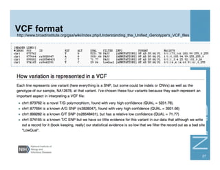 VCF format
http://www.broadinstitute.org/gsa/wiki/index.php/Understanding_the_Unified_Genotyper's_VCF_files
27
 