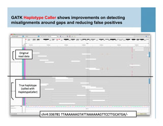 GATK Haplotype Caller shows improvements on detecting
misalignments around gaps and reducing false positives
29
 