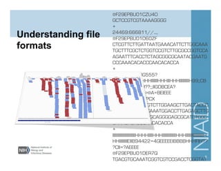 Understanding file
formats
@F29EPBU01CZU4O
GCTCCGTCGTAAAAGGGG
+
24469:666811//..,,
@F29EPBU01D60ZF
CTCGTTCTTGATTAATGAAACATTCTTGGCAAA
TGCTTTCGCTCTGGTCCGTCTTGCGCCGGTCCA
AGAATTTCACCTCTAGCGGCGCAATACGAATG
CCCAAACACACCCAACACACCA
+
G???HHIIIIIIIIIBG555?
=IIIIIIIIHHGHHIHHHIIIIIIHHHIIHHHIIIIIIIIIH99;;CB
BCCEI???DEIIIIII??;;;IIGDBCEA?
9944215BB@>>@A=BEIEEE
@F29EPBU01EIPCX
TTAATGATTGGAGTCTTGGAAGCTTGACTACCC
TACGTTCTCCTACAAATGGACCTTGAGAGCTTG
TTTGGAGGTTCTAGCAGGGGAGCGCATCTCCC
CAAACACACCCAACACACCA
+
IIIIIIIIIIIIIIIIIIIIIIHHHHIIIIHHHIIIIIIIIIIIIIHHHIIIIIIIIIIIIIIIIIH
HHIIIIIIIIEIIB94422=4GEEEEEIBBBBHHHFIH??
?CII=?AEEEE
@F29EPBU01DER7Q
TGACGTGCAAATCGGTCGTCCGACCTCGGTAT
AGGGGCGAAGACTAATCGAACCATCTAGTAGC
5
 