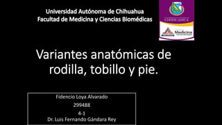 Fidencio Loya Alvarado
299488
4-1
Dr. Luis Fernando Gándara Rey
 