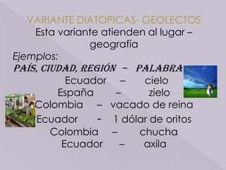VARIANTE DIATOPICAS- GEOLECTOSEsta variante atienden al lugar – geografíaEjemplos:PAÍS, CIUDAD, REGIÓN   –   PALABRA Ecuador     –       cieloEspaña        –          zieloColombia     –   vacado de reinaEcuador       -    1 dólar de oritosColombia     –        chuchaEcuador      –       axila