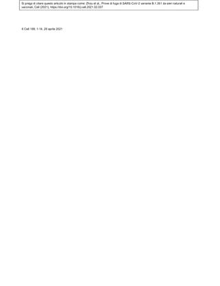 Si prega di citare questo articolo in stampa come: Zhou et al., Prove di fuga di SARS-CoV-2 variante B.1.351 da sieri naturali e
vaccinati, Cell (2021), https://doi.org/10.1016/j.cell.2021.02.037
6 Cell 189, 1-14, 29 aprile 2021
 
