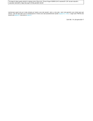 Si prega di citare questo articolo in stampa come: Zhou et al., Prove di fuga di SARS-CoV-2 variante B.1.351 da sieri naturali e
vaccinati, Cell (2021), https://doi.org/10.1016/j.cell.2021.02.037
matched-pairs signed rank sum è stato utilizzato per l'analisi e sono stati calcolati i valori p a due code; i valori medi geometrici sono indicati sopra ogni
colonna. I dati alla base delle curve di neutralizzazione di Victoria sono stati precedentemente riportati (Supasa et al., 2021). I singoli valori FRNT50 sono
riportati nella tabella S2. Vedi anche la Figura S1.
Cell 189, 1-14, 29 aprile 2021 7
 