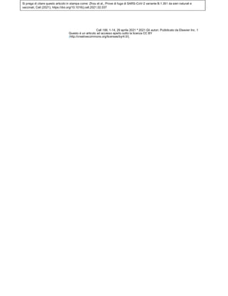 Si prega di citare questo articolo in stampa come: Zhou et al., Prove di fuga di SARS-CoV-2 variante B.1.351 da sieri naturali e
vaccinati, Cell (2021), https://doi.org/10.1016/j.cell.2021.02.037
Cell 189, 1-14, 29 aprile 2021 ª 2021 Gli autori. Pubblicato da Elsevier Inc. 1
Questo è un articolo ad accesso aperto sotto la licenza CC BY
(http://creativecommons.org/licenses/by/4.0/).
 