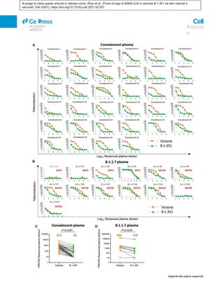 Si prega di citare questo articolo in stampa come: Zhou et al., Prove di fuga di SARS-CoV-2 variante B.1.351 da sieri naturali e
vaccinati, Cell (2021), https://doi.org/10.1016/j.cell.2021.02.037
ll
ACCESSO
APERTO
Articol
o
(legenda alla pagina seguente)
 