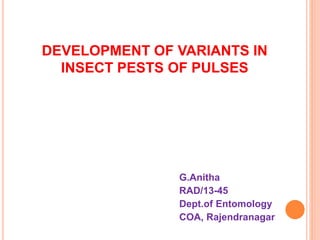 DEVELOPMENT OF VARIANTS IN
INSECT PESTS OF PULSES
G.Anitha
RAD/13-45
Dept.of Entomology
COA, Rajendranagar
 