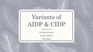 Variants of
AIDP & CIDP
Dr Zuber Ali Quazi
Senior Resident
Neurology
 