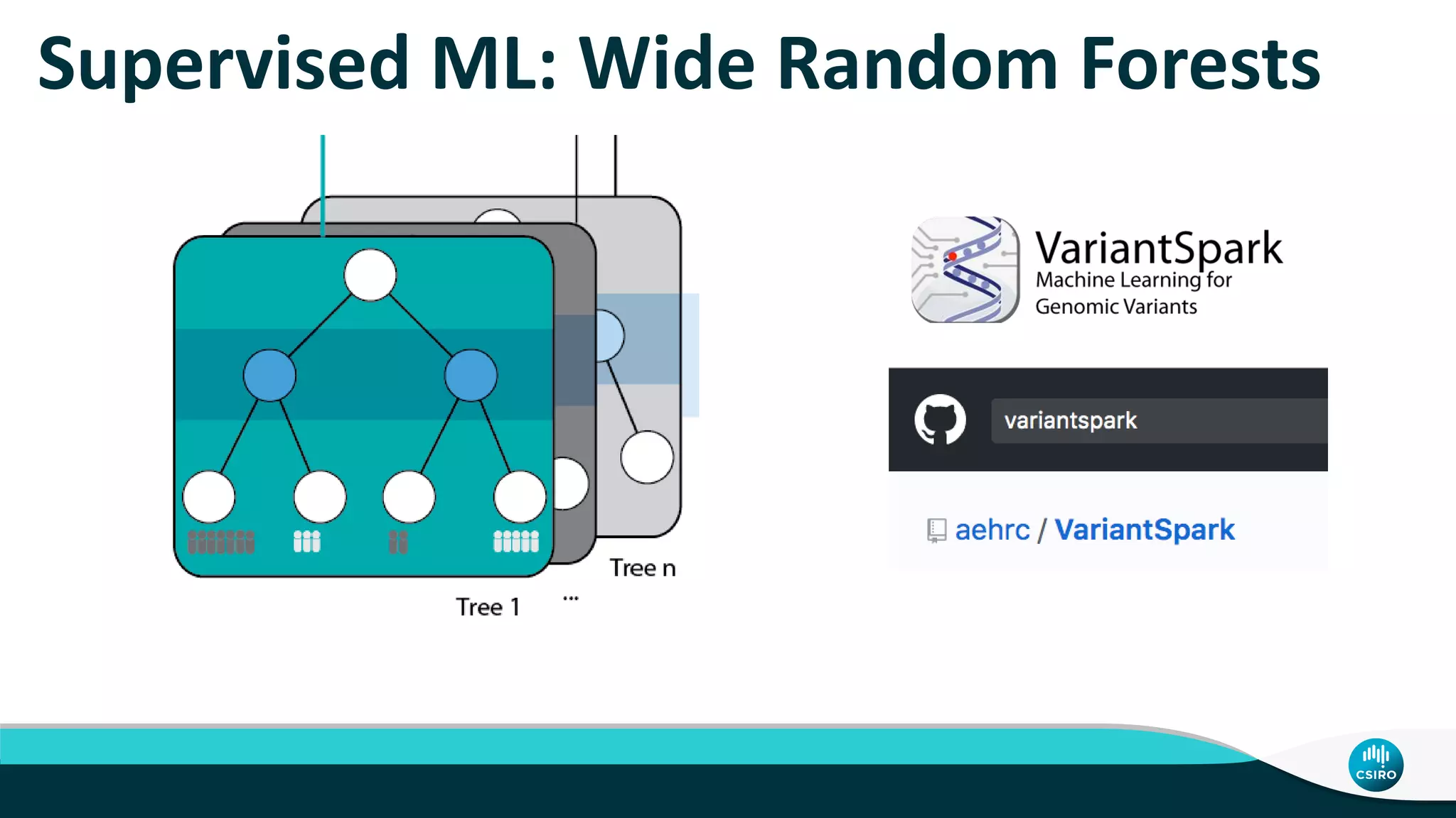 Supervised ML: Wide Random Forests
 