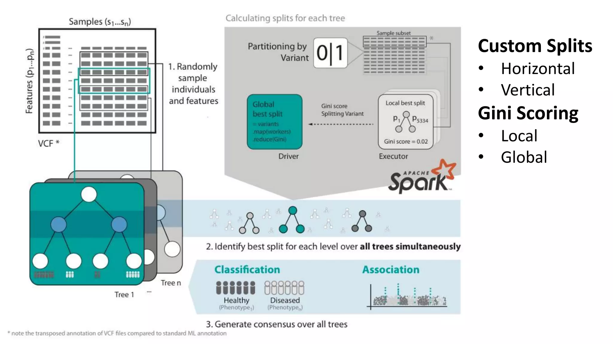 Custom Splits
• Horizontal
• Vertical
Gini Scoring
• Local
• Global
 