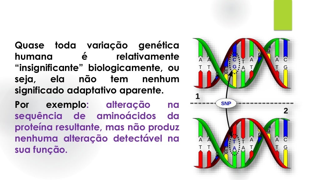 Que Fatores Contribuem Para A Variação Genética Nas Populações
