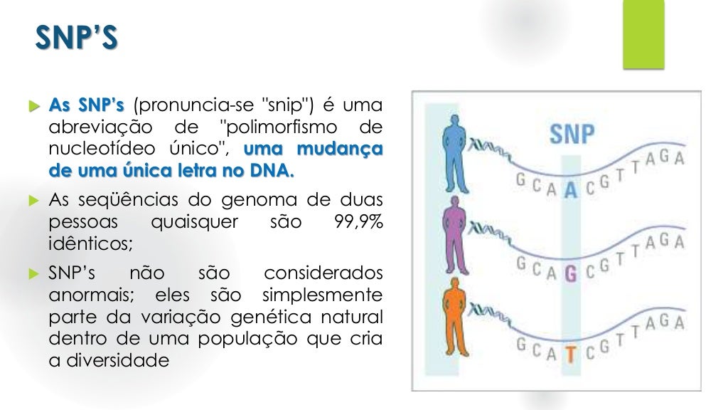 Que Fatores Contribuem Para A Variação Genética Nas Populações