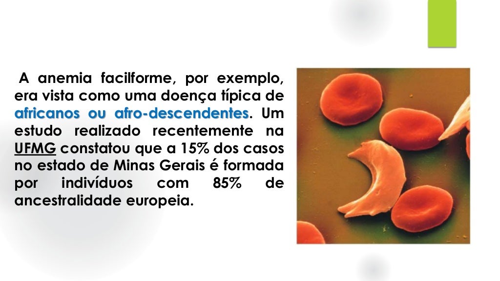 Que Fatores Contribuem Para A Variação Genética Nas Populações