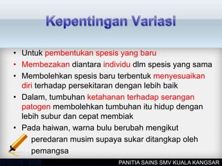 • Untuk pembentukan spesis yang baru
• Membezakan diantara individu dlm spesis yang sama
• Membolehkan spesis baru terbentuk menyesuaikan
diri terhadap persekitaran dengan lebih baik
• Dalam, tumbuhan ketahanan terhadap serangan
patogen membolehkan tumbuhan itu hidup dengan
lebih subur dan cepat membiak
• Pada haiwan, warna bulu berubah mengikut
peredaran musim supaya sukar ditangkap oleh
pemangsa
PANITIA SAINS SMV KUALA KANGSAR
 
