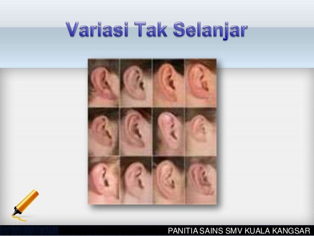 Variasi di Kalangan Hidupan