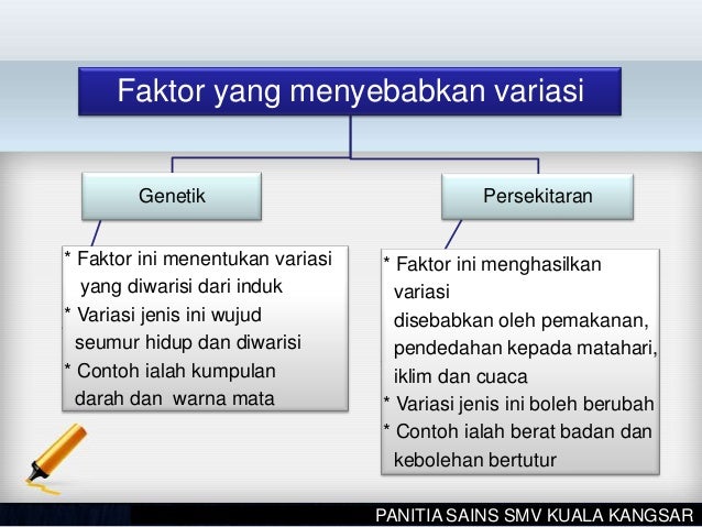  Variasi  di Kalangan Hidupan