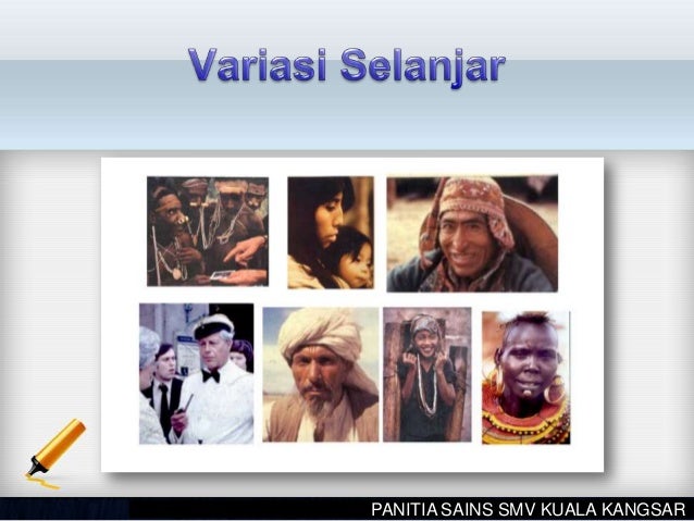 Variasi di Kalangan Hidupan
