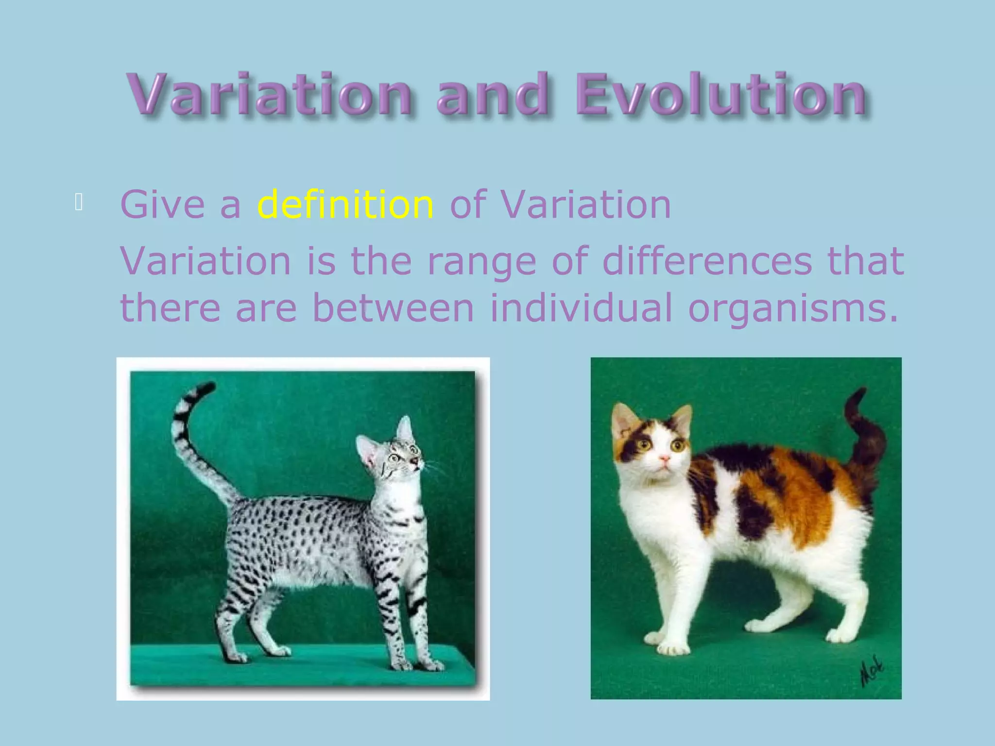  Give a definition of Variation
Variation is the range of differences that
there are between individual organisms.
 
