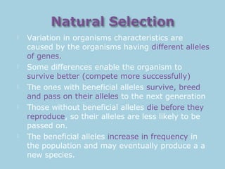  Variation in organisms characteristics are
caused by the organisms having different alleles
of genes.
 Some differences enable the organism to
survive better (compete more successfully)
 The ones with beneficial alleles survive, breed
and pass on their alleles to the next generation
 Those without beneficial alleles die before they
reproduce, so their alleles are less likely to be
passed on.
 The beneficial alleles increase in frequency in
the population and may eventually produce a a
new species.
 