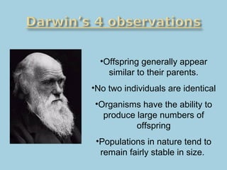 •Offspring generally appear
similar to their parents.
•No two individuals are identical
•Organisms have the ability to
produce large numbers of
offspring
•Populations in nature tend to
remain fairly stable in size.
 