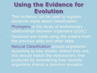  This evidence can be used to support
decisions made about classification.
 Phylogeny is the study of evolutionary
relationships between organisms (p201)
 Decisions are made using the criteria from
the previous slide and other tests
 Natural Classification groups organisms
according to how closely related they are;
this should match the evolutionary tree
produced by considering how recently
organisms shared a common ancestor.
 